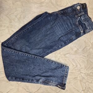 VINTAGE zipper Ankle Banana Republic Women's Jeans in Classic Blue- Size 24/00
